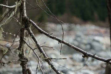 _DSC8375