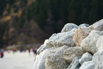 _DSC8380