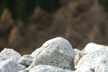 _DSC8382
