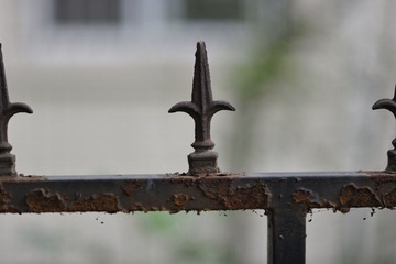 _DSC0331.jpg