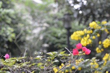 _DSC0090.JPG