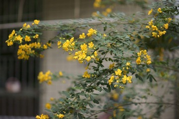 _DSC0151.JPG