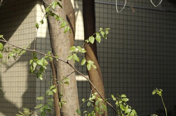 _IGP6224.jpg