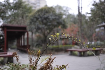 _DSC0004.jpg