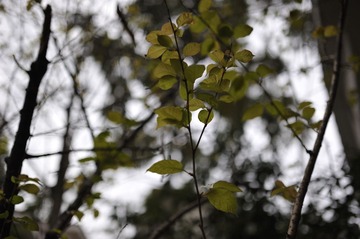 _DSC9997.jpg