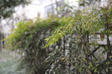 _DSC9998.jpg