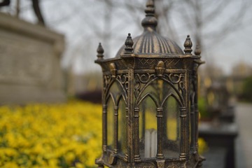 _DSC0183.jpg