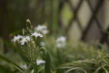 _DSC0018.JPG