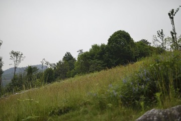 _DSC0310.jpg