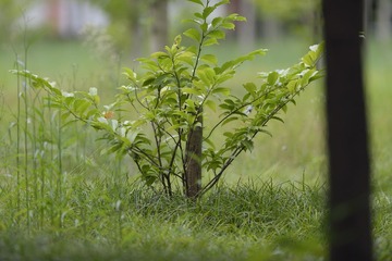 _DSC0361
