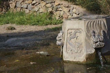 _DSC0236