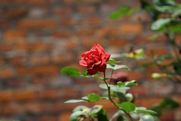_DSC7679
