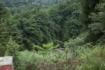 _DSC7700