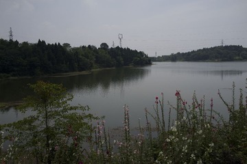 _DSC7746