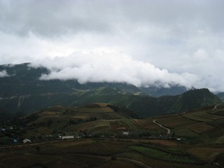 IMG_7372.JPG