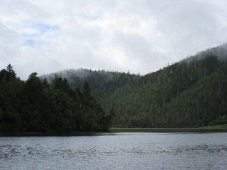 IMG_7465.JPG