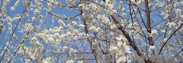 IMG_0369_副本.jpg