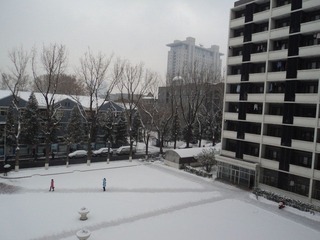 DSC00740.JPG