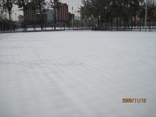 IMG_2973.JPG