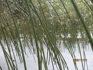 IMG_2980.JPG