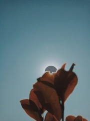 3539589
