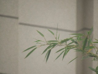 EDFAF1B4-D798-46E8-AB4F-4C9F0025CA00/L0/001