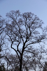 IMG_1085.JPG