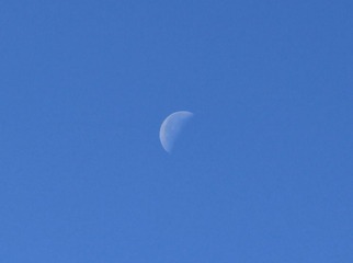 IMG_1117.JPG