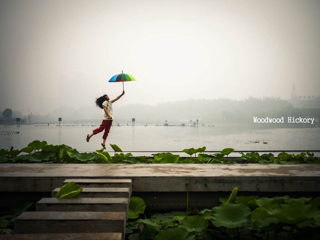 雨中荷塘风吹Bapi起~XD~