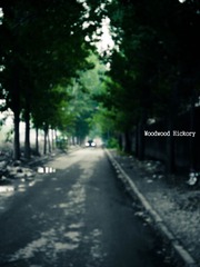 1500小图-1000176