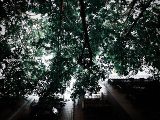 1500小图-P1000430-