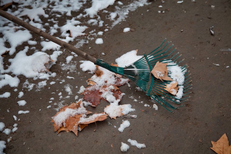 自扫门前雪<br />
