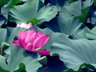 IMG_6358.JPG