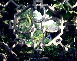 IMG_6401(P).jpg