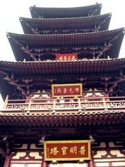 IMG_6431(P).jpg