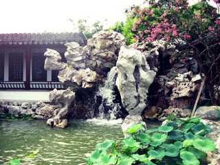 IMG_6442(P).jpg