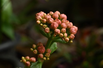 200554