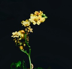 120843