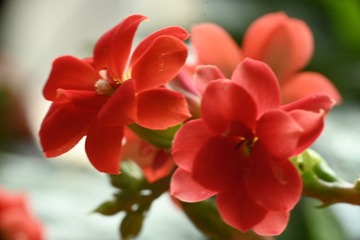 200565