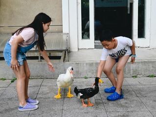 24240