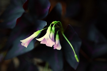 158031