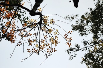 120895
