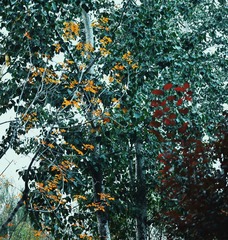 120900