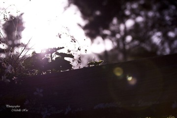 morning_1_3200x2133.jpg