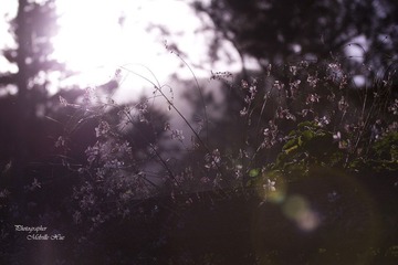 morning_3_3200x2133.jpg