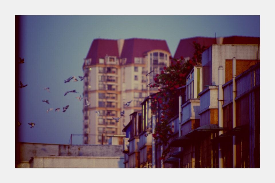 806<br />
