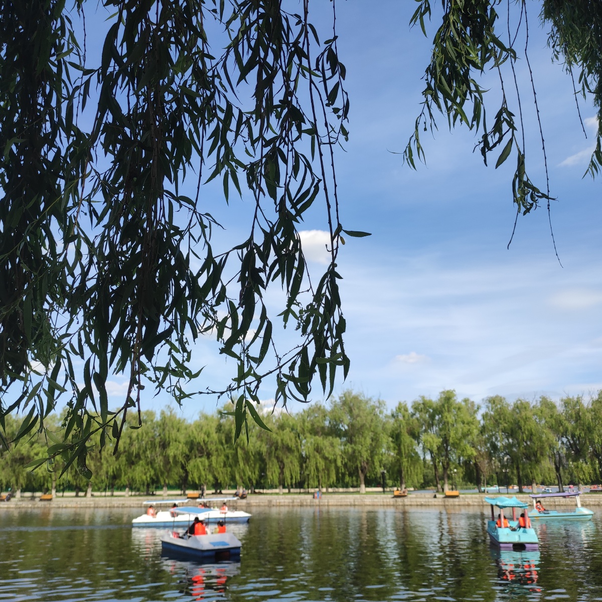 夏季北陵公园的湖景