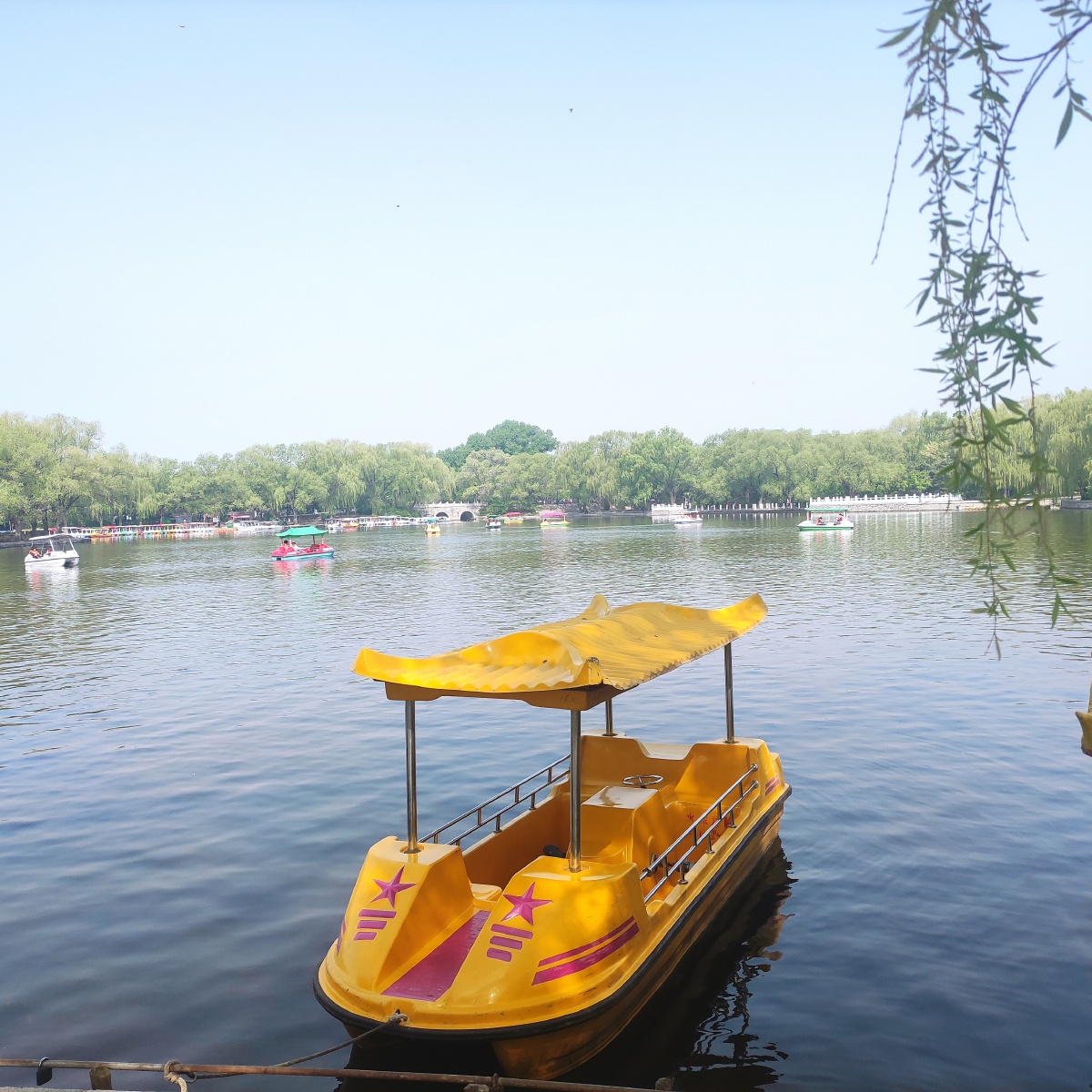 五一劳动节的沈阳北陵公园景色优美