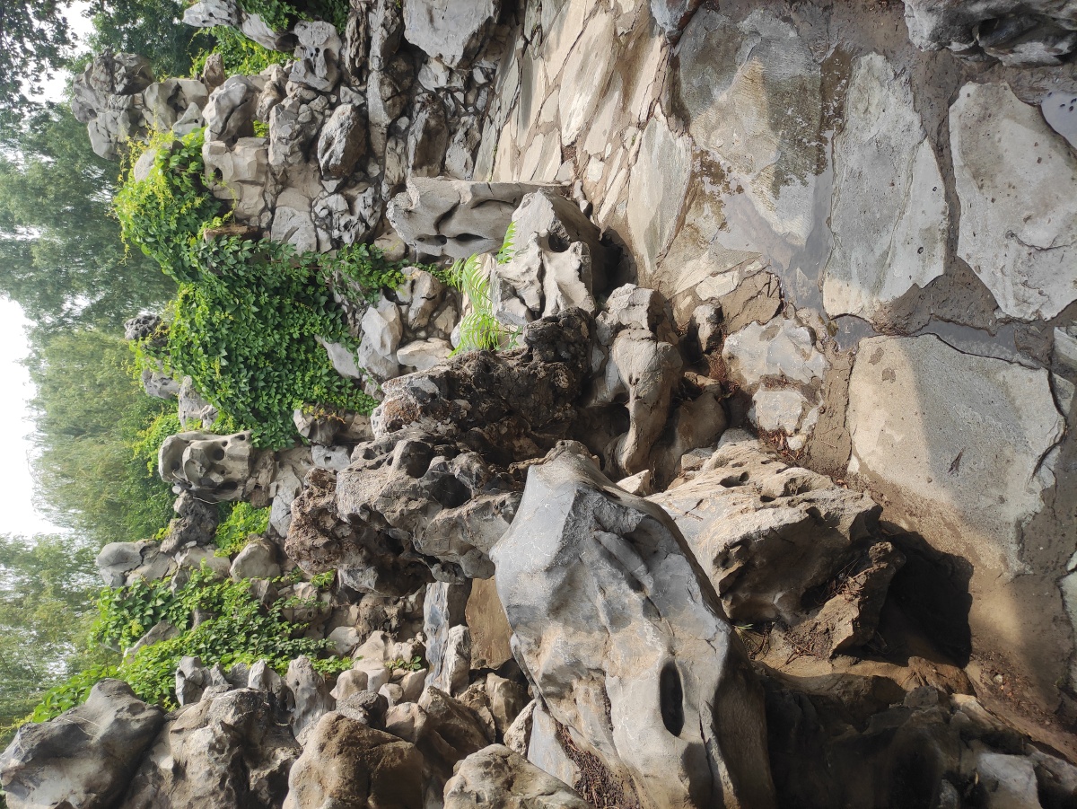 曲径通幽处大观园