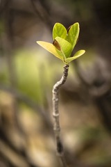 IMGP9145_1.jpg